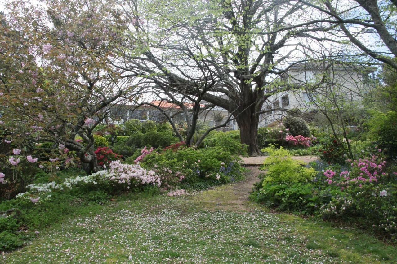 Nesuto Leura Gardens Hotel Bagian luar foto