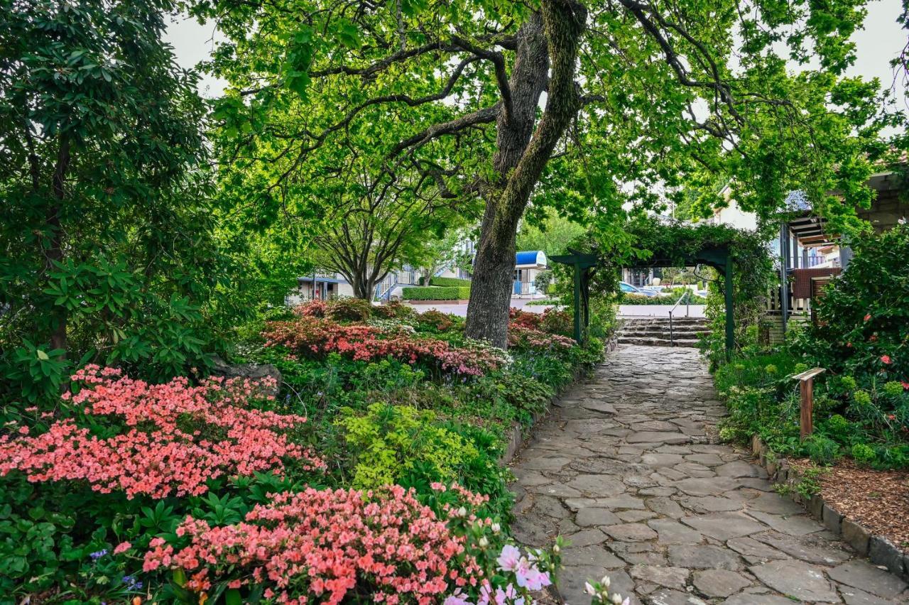 Nesuto Leura Gardens Hotel Bagian luar foto
